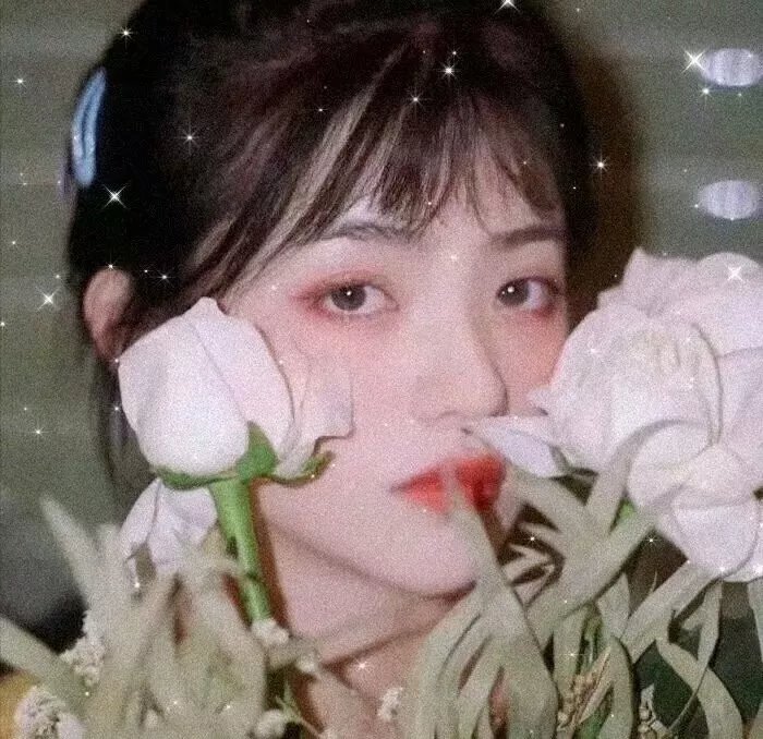 巴黎来的女孩
